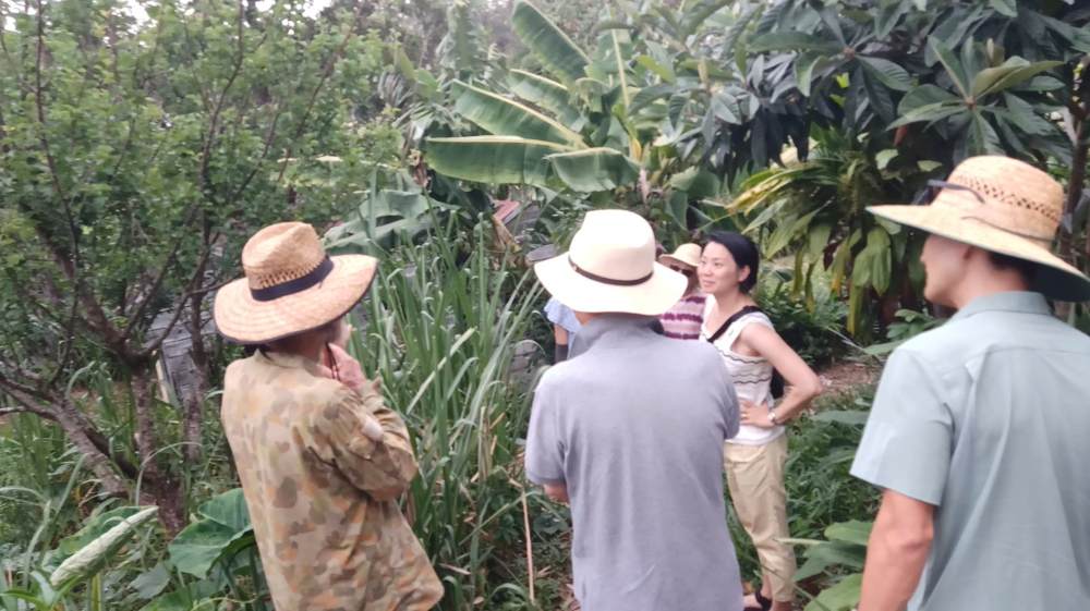 Community food growing and biodiversity at Ediblescapes viewed through an agroecology lens