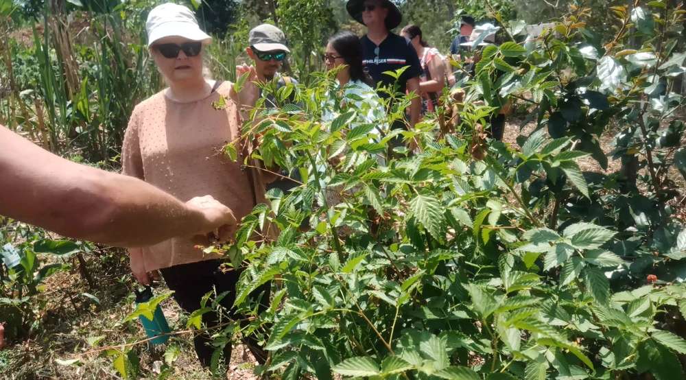 People participating in ecological food growing and learning together at Ediblescapes