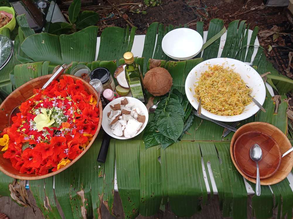 Harvested edible leaves and shared food preparation at Ediblescapes