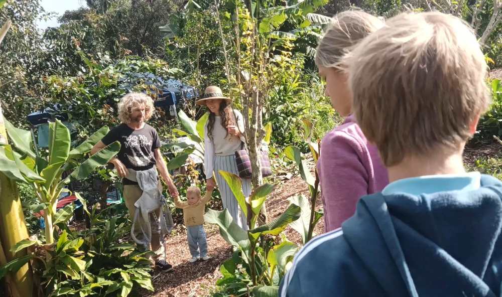 Shared community care and public access at Ediblescapes garden