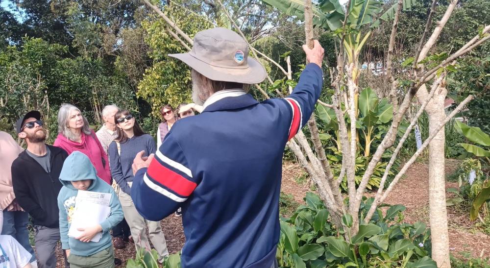 Visitors observing layered planting and relationships in the Ediblescapes garden