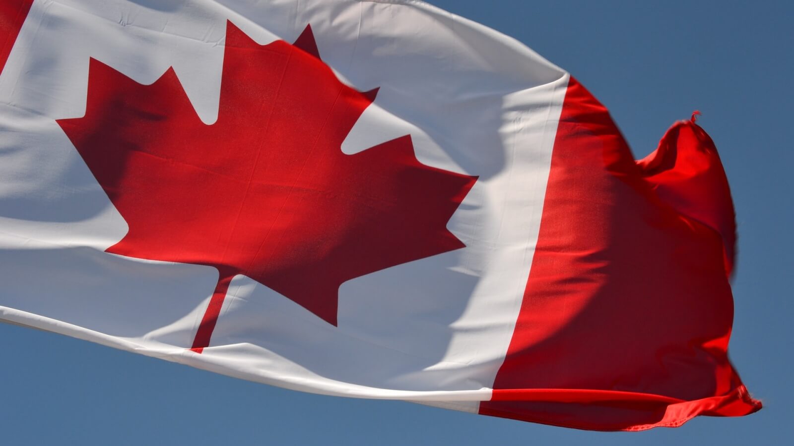 CPPA & PIPEDA: The Business Guide to Canada’s Privacy Laws