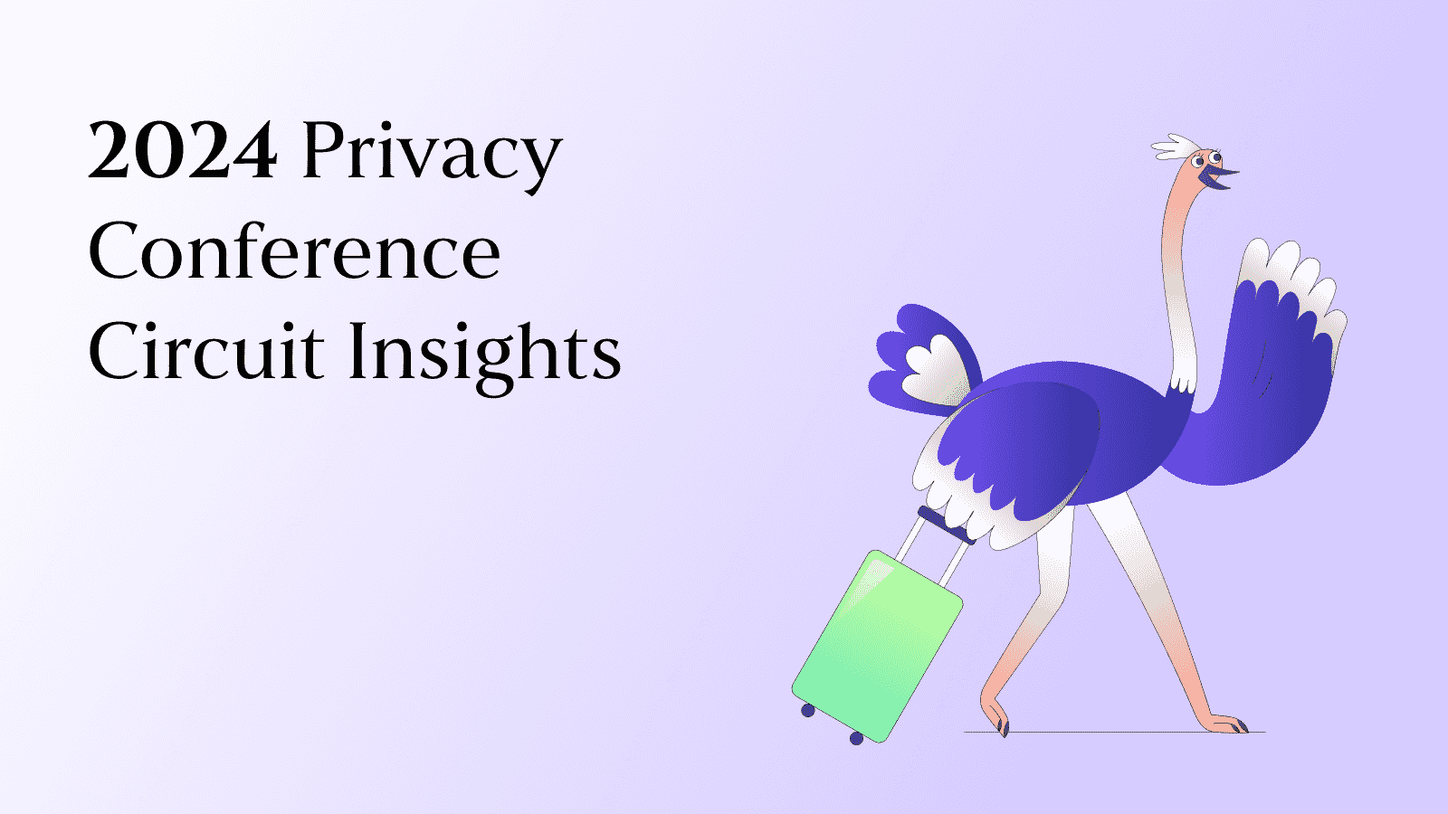 Lessons from the 2024 Privacy Conference Circuit