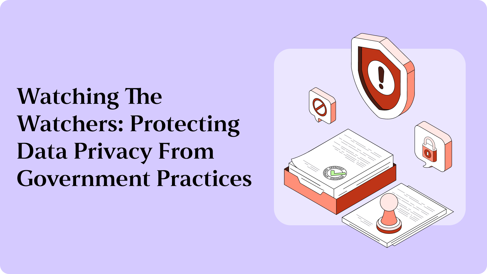 Watching The Watchers: Protecting Data Privacy From Government Practices