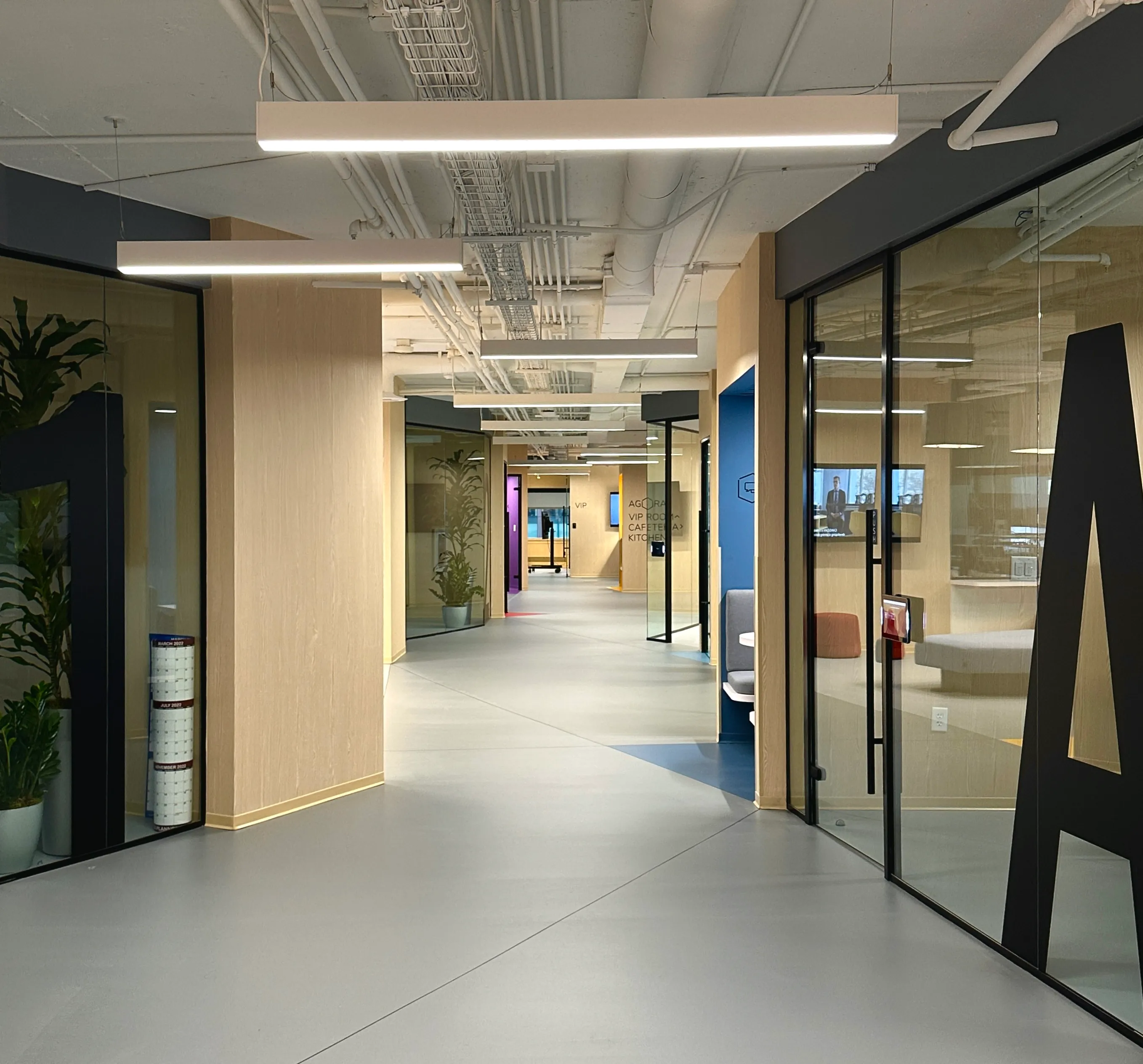 Corridor at Zebox Washington in Washington D.C., exposed ceiling ducts, linear pendant lights, and glass-walled meeting rooms along a light timber-clad hallway