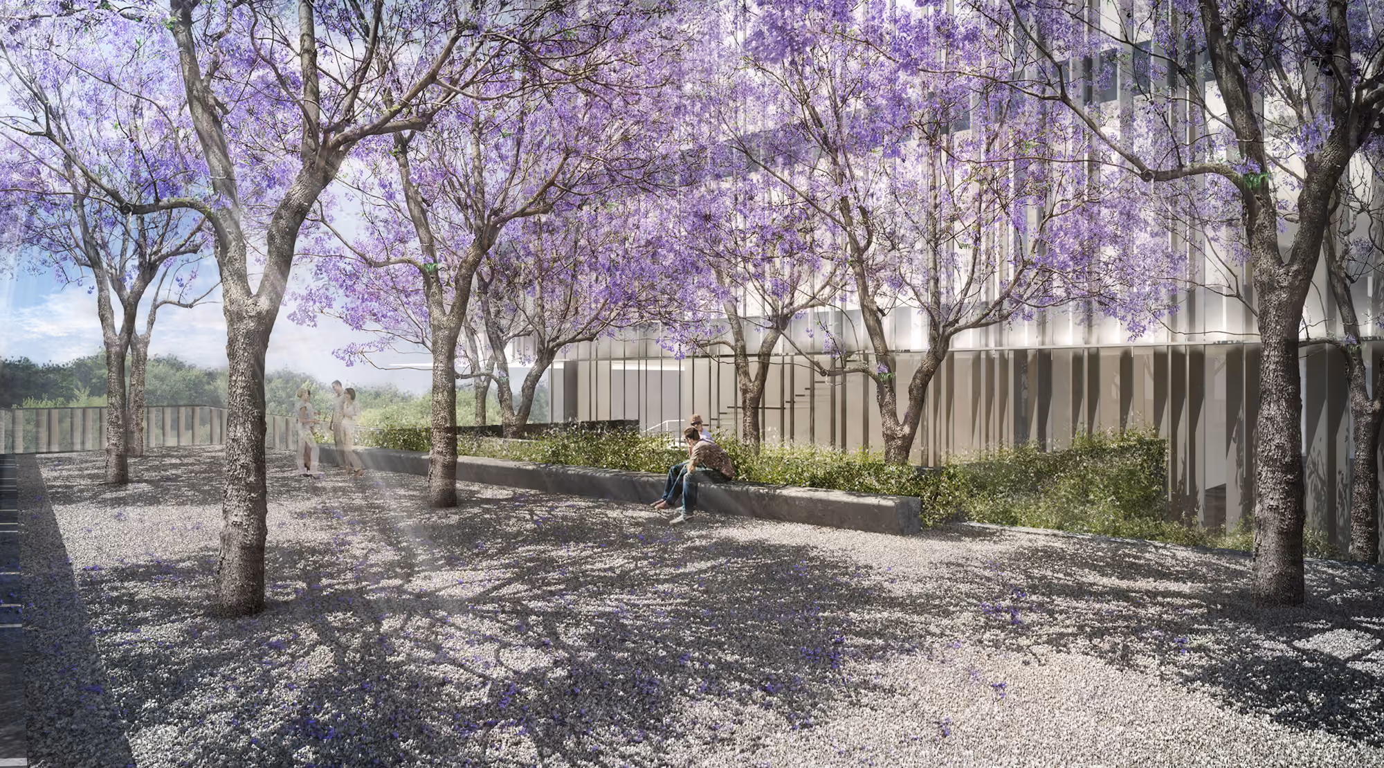 Landscaped courtyard of the Bank Headquarters in Beirut, jacaranda trees in bloom shading a gravel path beside the glazed facade