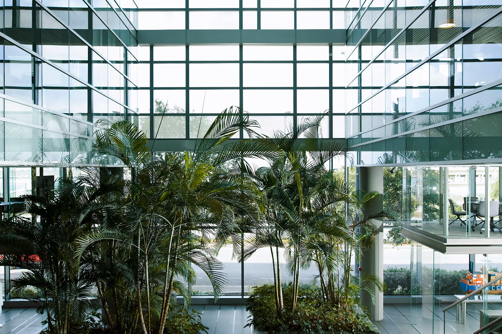 Double-height glazed atrium at CMA-CGM Headquarters in Beirut, tall palm trees rising through the void with a glass bridge and meeting room visible beyond