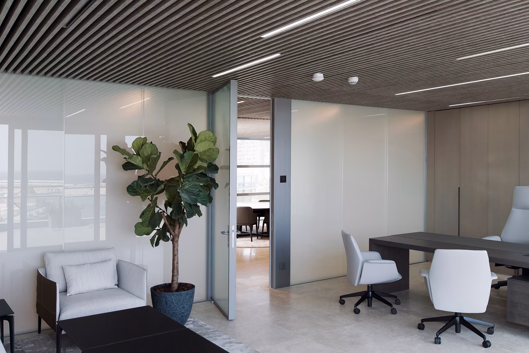 Office space in the CMA-CGM Headquarters refurbishment in Beirut, frosted glass partitions, a fiddle-leaf fig plant, and slatted acoustic ceiling above a meeting table