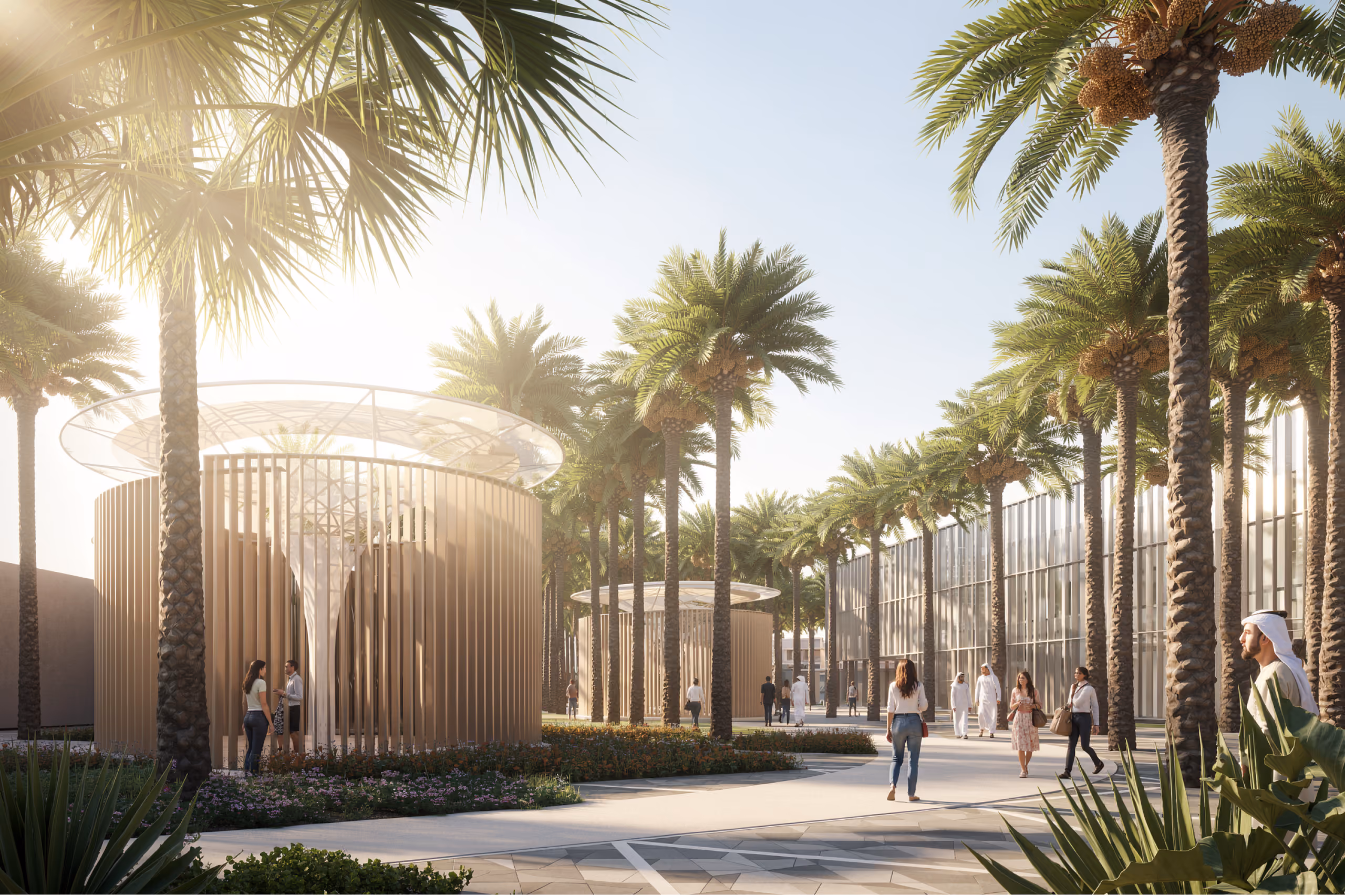Circular timber-slatted pavilions with disc canopies among palm-lined pathways at Dar Al Ulum Public Library in Al Jouf, visitors strolling through the landscaped courtyard