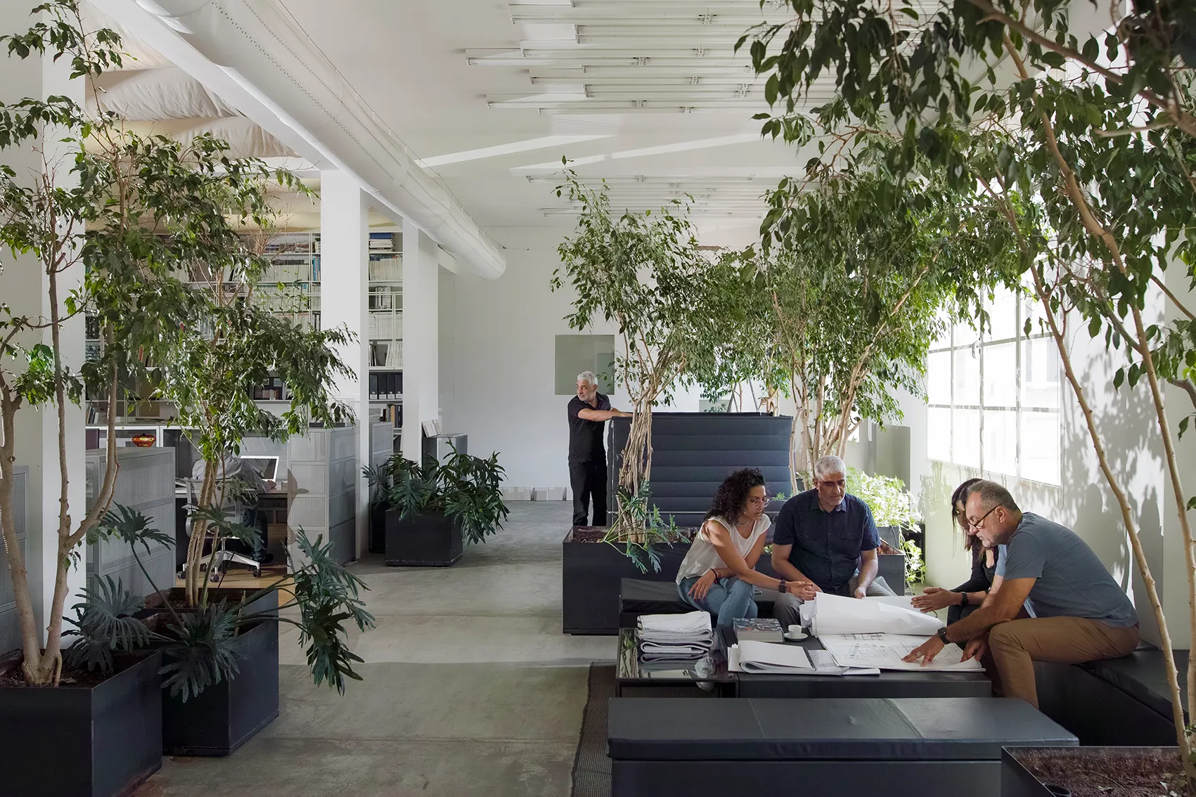 Team members reviewing drawings on low tables amid indoor trees and planters inside the ngª Office interior in Beirut