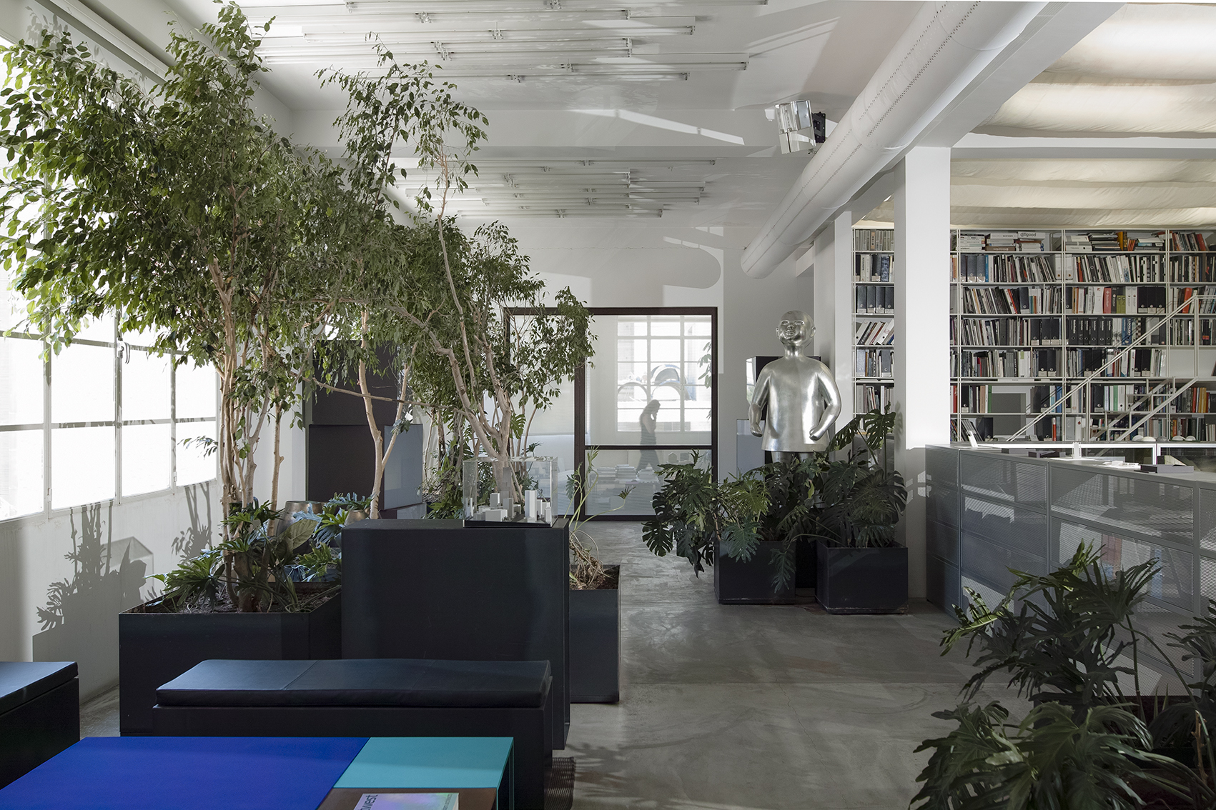 Interior of ngª Office in Beirut, lounge area with potted trees, a silver figurative sculpture, dark planters and a library wall visible beyond