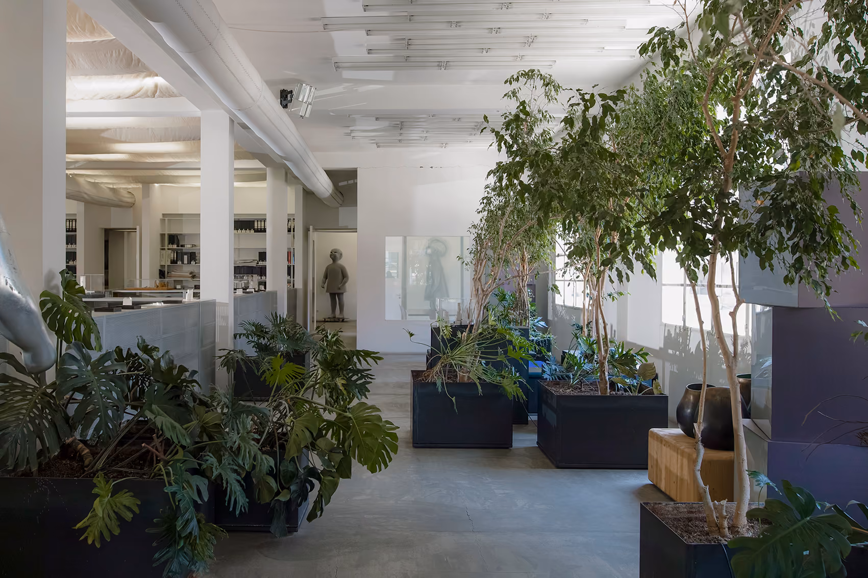 Interior of the ngª office in Beirut, dark planters with large leafy trees lining a concrete-floored corridor beneath exposed white ductwork