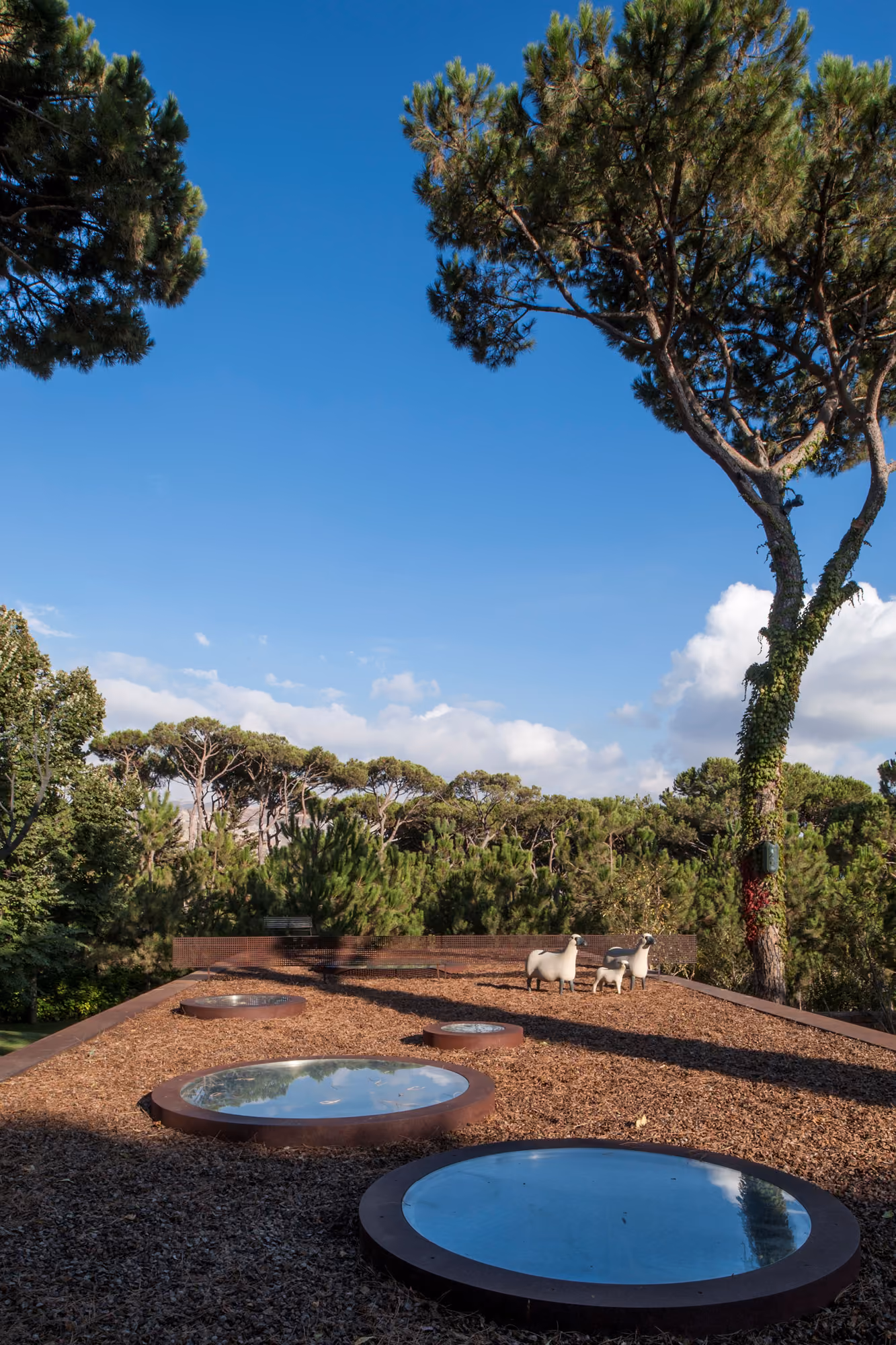 Rooftop garden of The House with Two Lives in Bois de Boulogne, circular skylights set in mulch beside sheep sculptures and pine trees