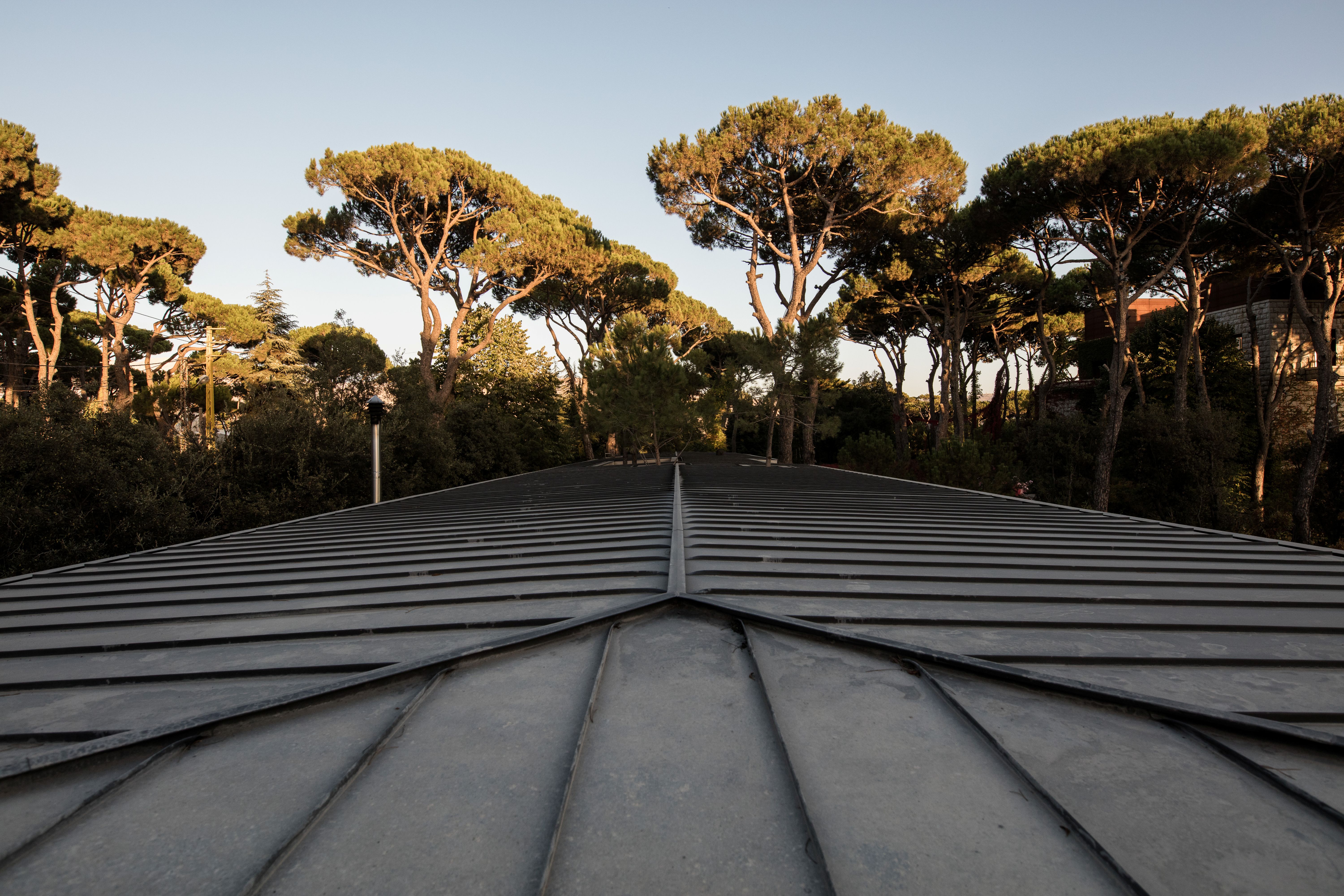 Ribbed metal roof of The House with Two Lives in Bois de Boulogne, converging in a central ridge line with pine trees silhouetted against a pale sky beyond