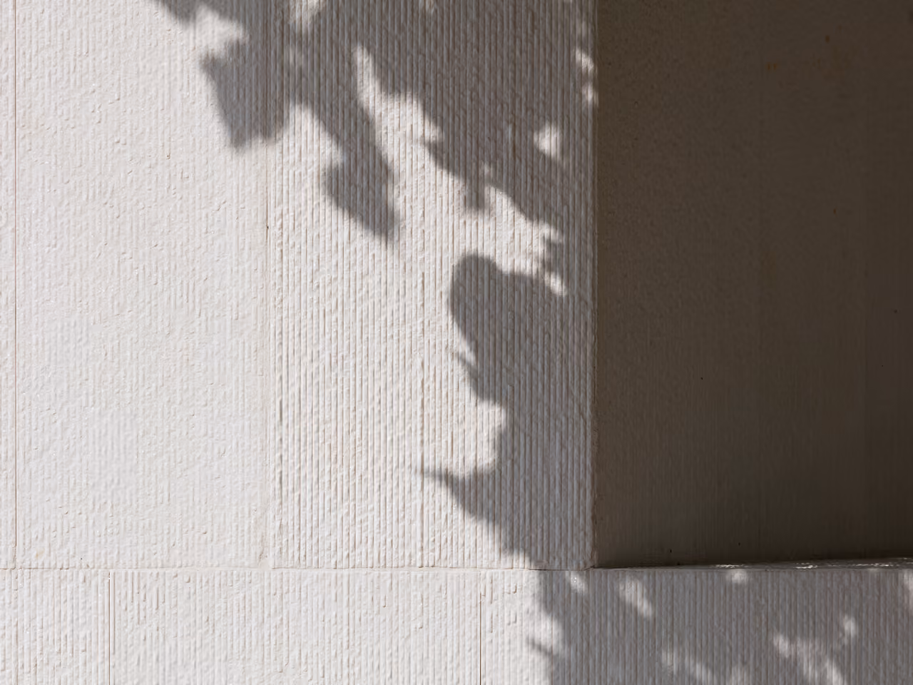 Tree branch shadows cast across the textured limestone facade of AZ House in Adma, near a sharp corner where wall meets recessed shadow