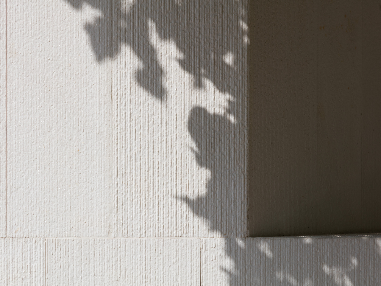 Tree branch shadows cast across the textured limestone facade of AZ House in Adma, near a sharp corner where wall meets recessed shadow