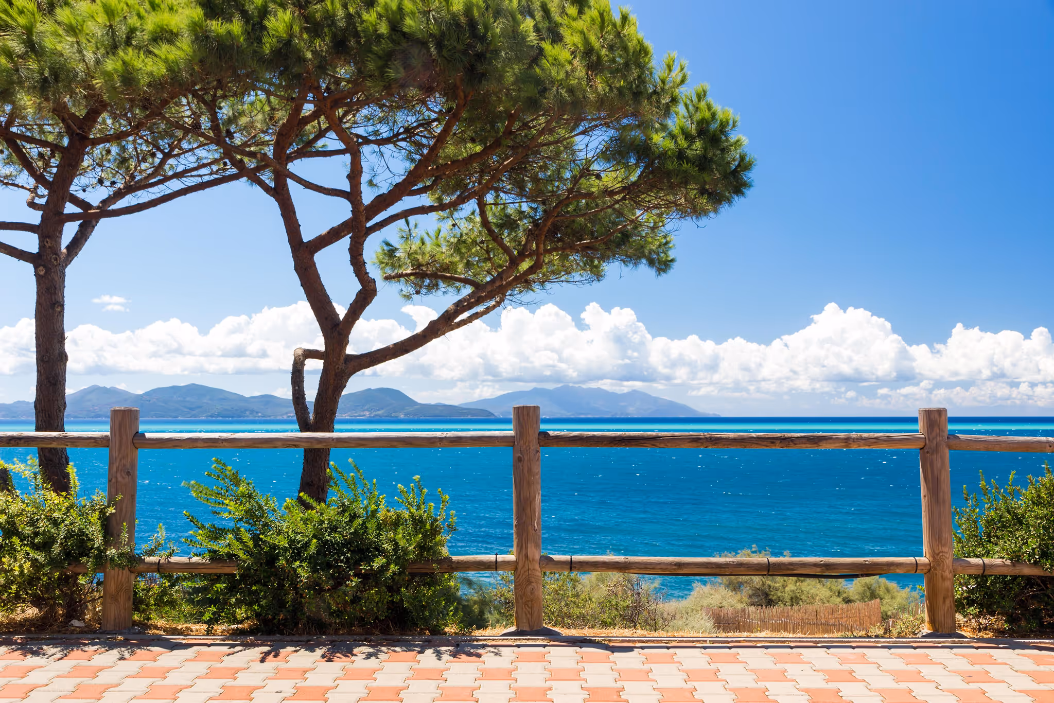 Морський пейзаж з деревами на передньому плані, дерев’яним парканом і горами на горизонті під блакитним небом з білими хмарами.