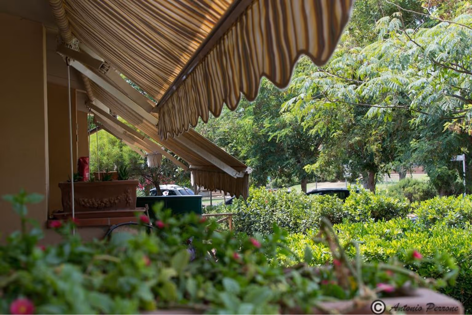 Тераса з південними маркізами на фоні зелених дерев і чагарників. Villaggio Mare Si