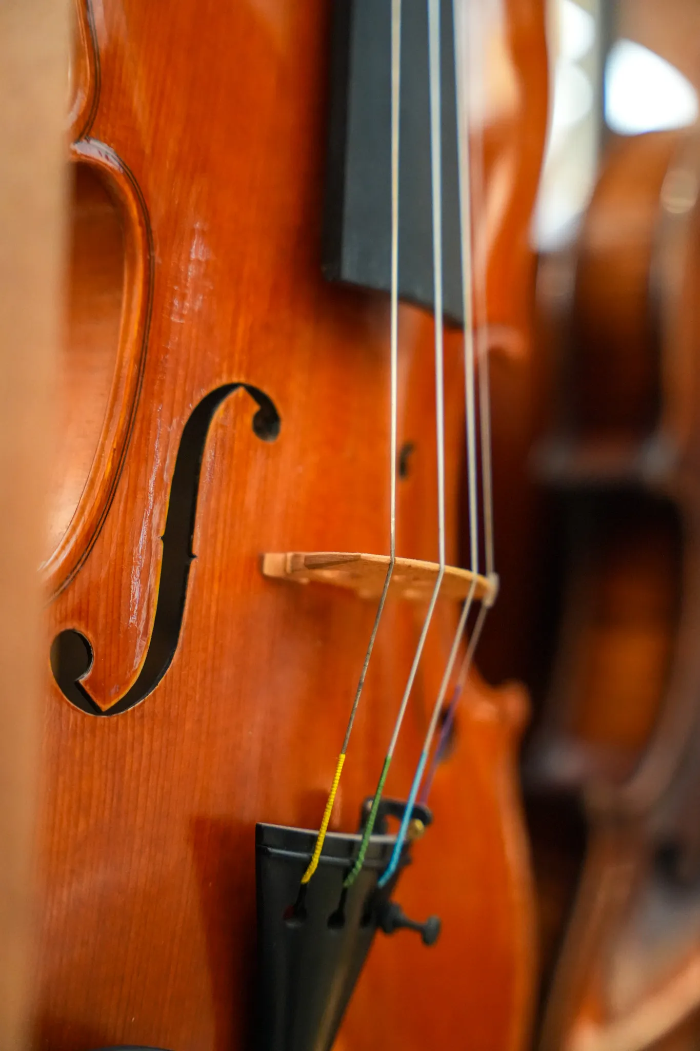 Gros plan sur les cordes, la table d'harmonie et la rosace en forme de f d'un violon en bois.