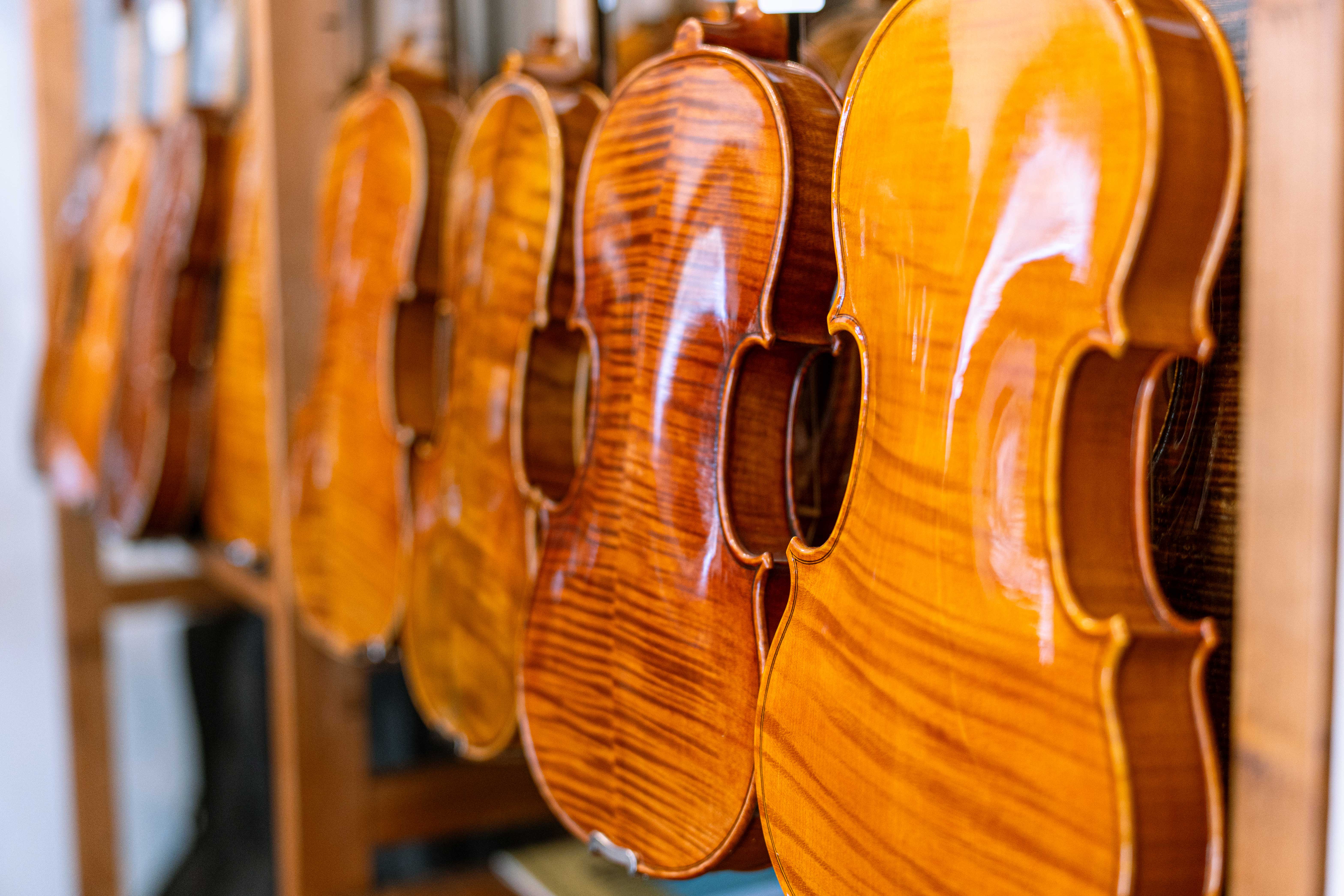 Plusieurs violons en bois brillant suspendus en rangée dans un atelier.