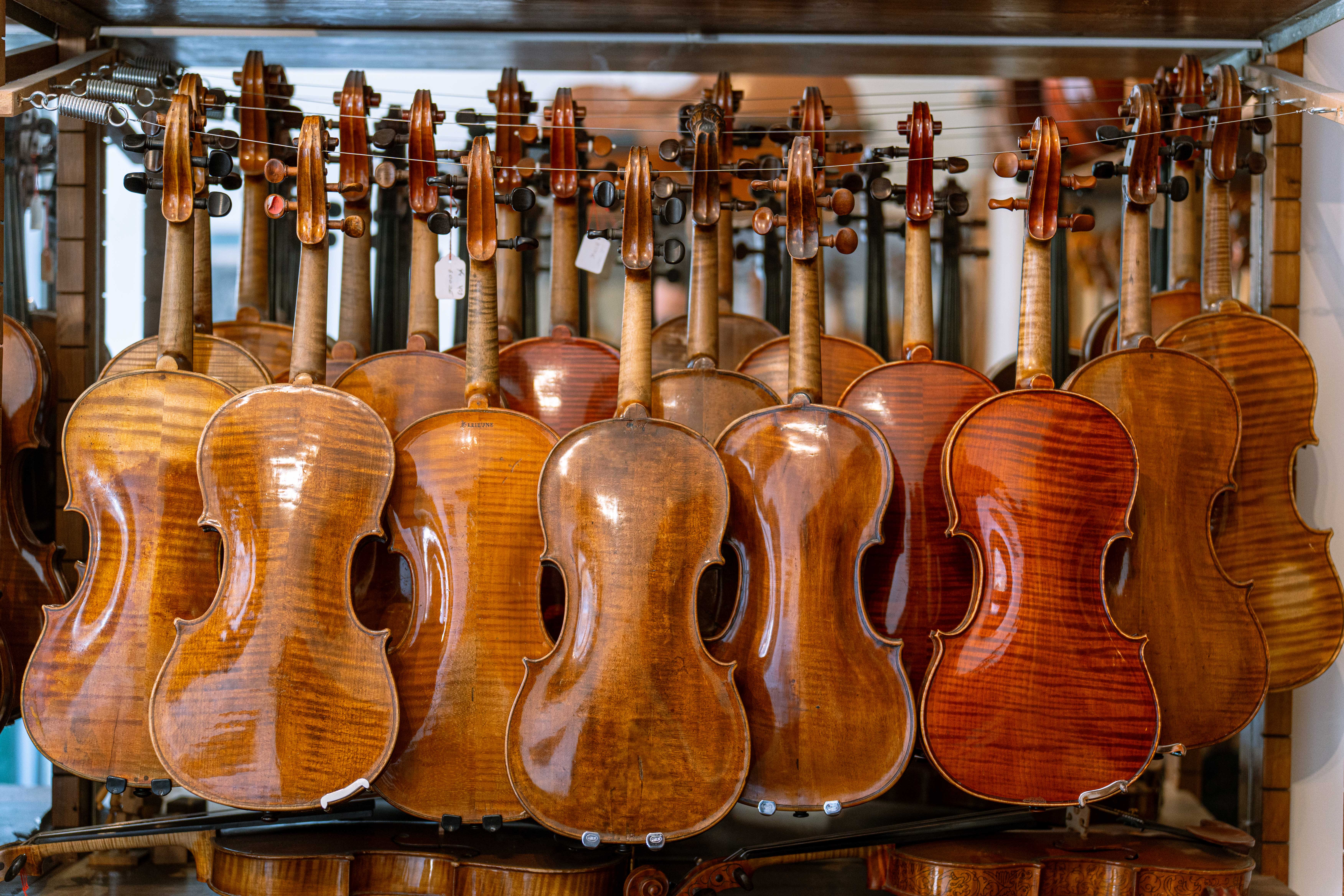 Plusieurs violons en bois verni suspendus par leurs chevilles, exposés de dos dans une vitrine.