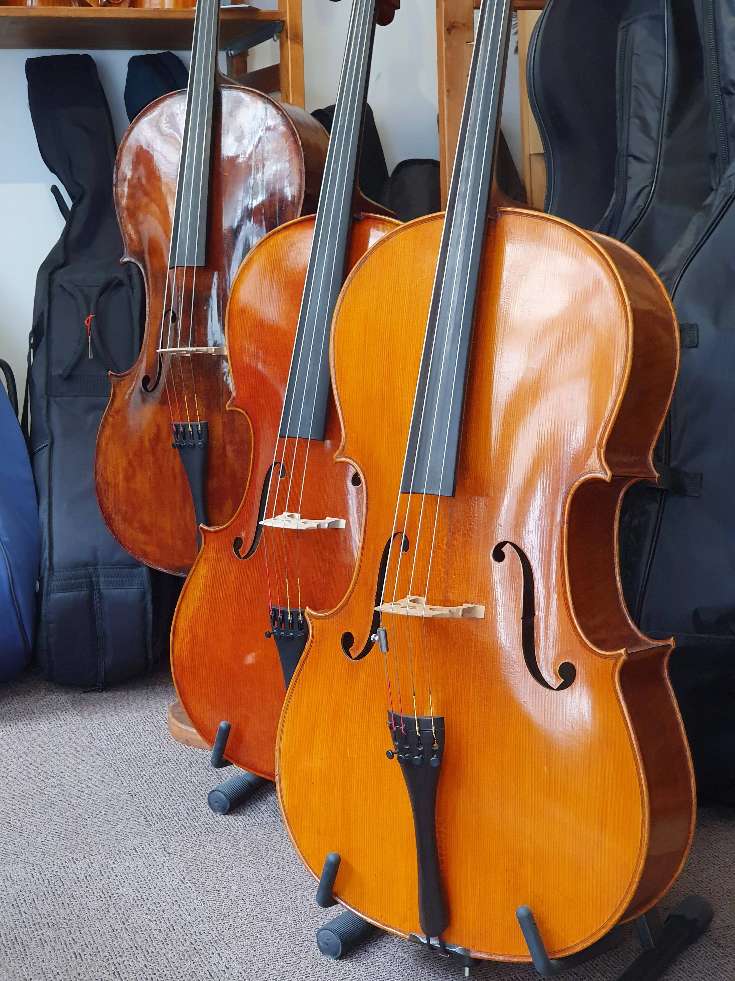 Trois violoncelles en bois de différentes nuances posés sur des supports dans une pièce avec des housses d'instruments en arrière-plan.