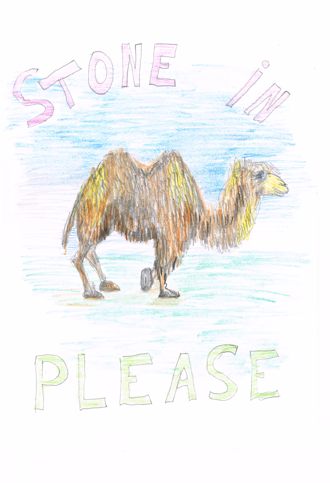 Stone in please