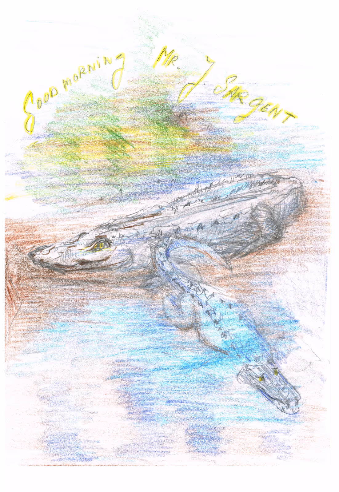Crocodiles