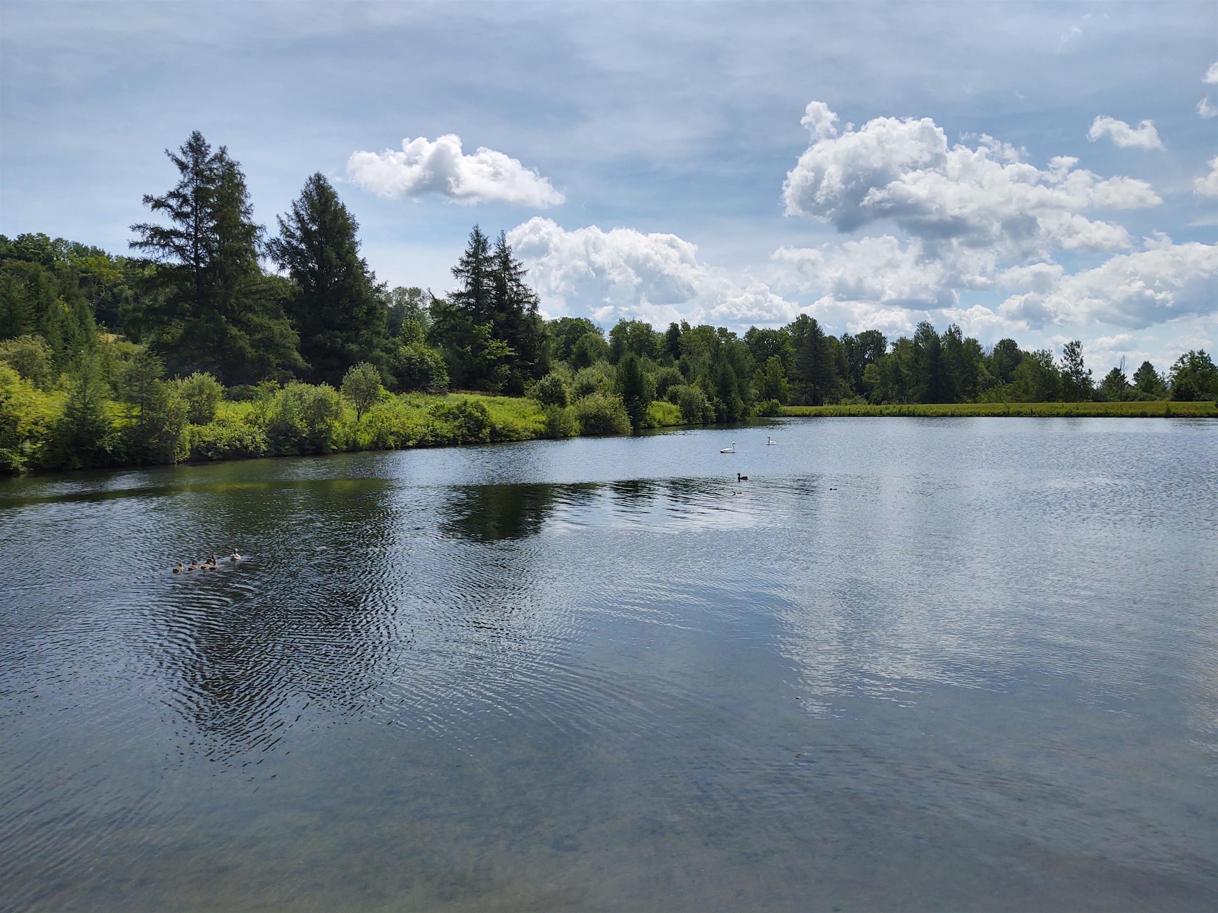 Three-acre natural swimming pond at Lake Champagne Campground surrounded by trees