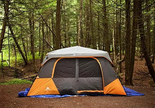 A wooded tent site at Lake Champagne