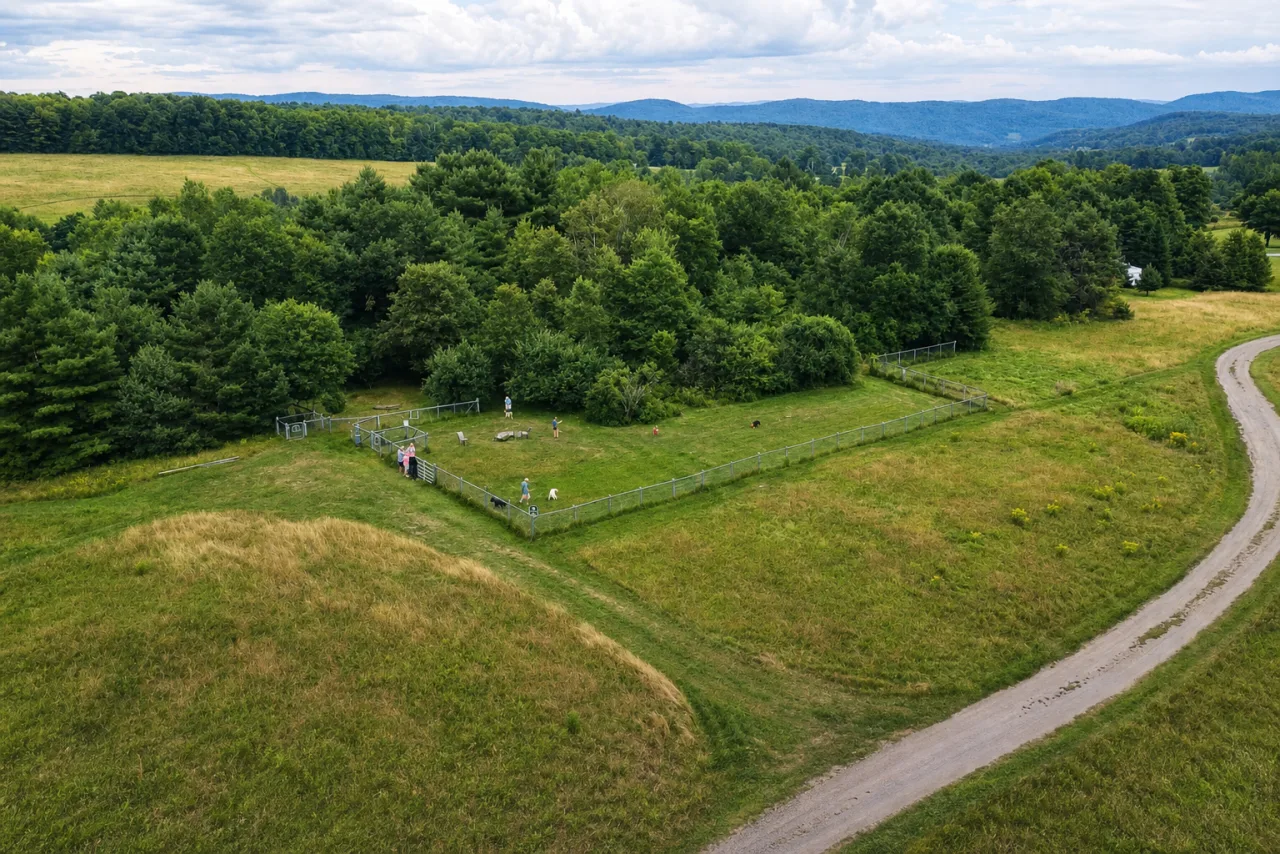 Aerial view of dogs using the large fenced dog park at Lake Champagne