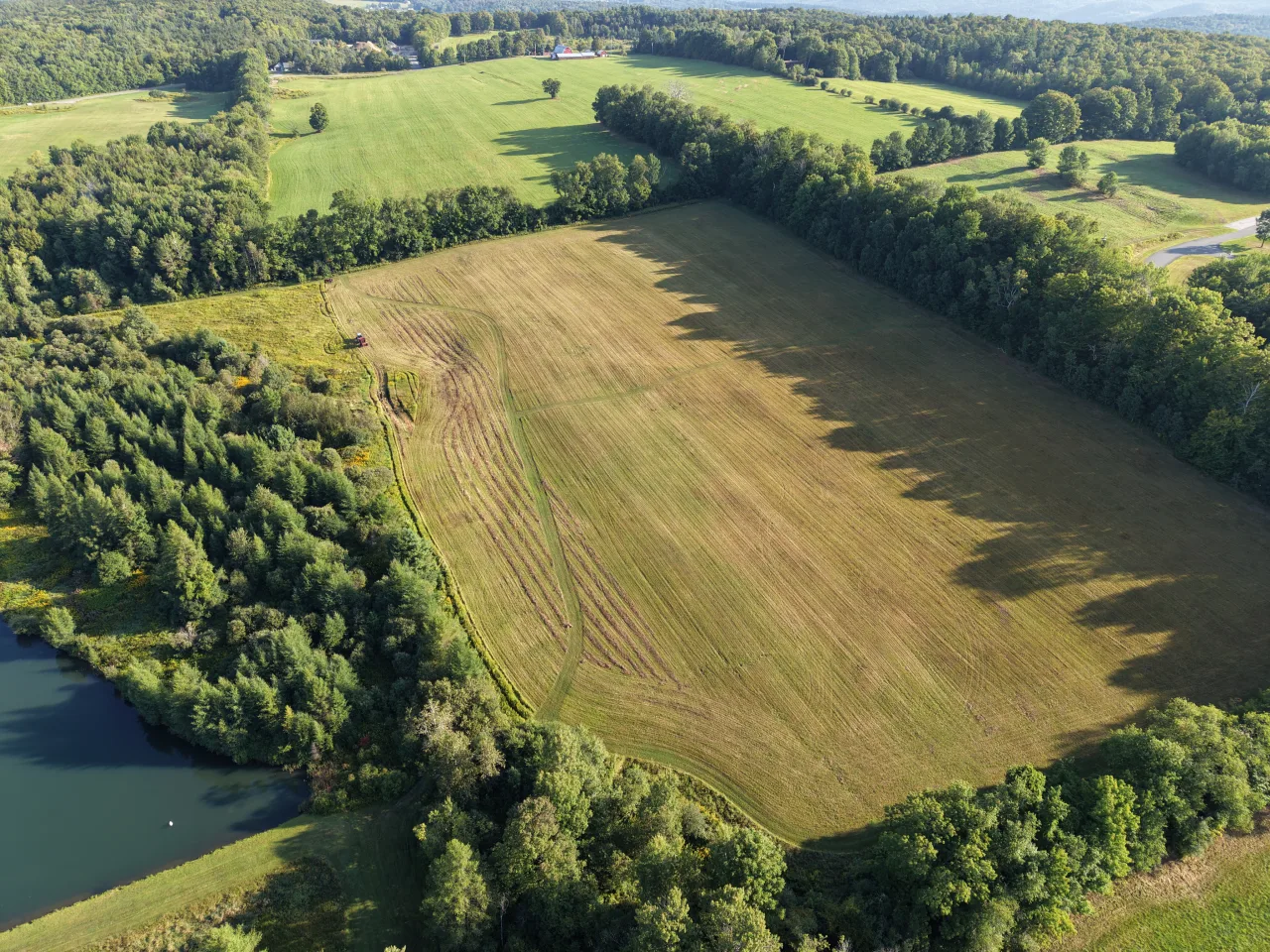 A broad field crossed by mowed walking paths and surrounded by woods at Lake Champagne