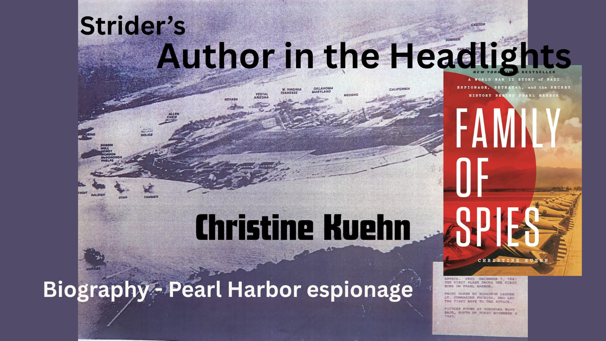 Banner of Author in the Headlights episode with Lynda Bailey, Erotic Romance