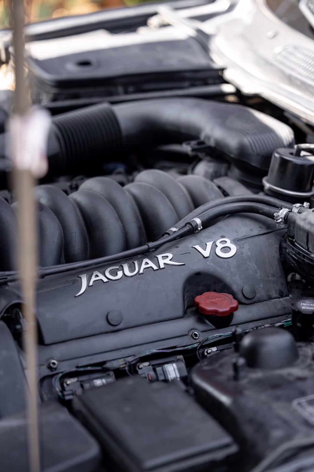 Moteur Jaguar V8 capot ouvert