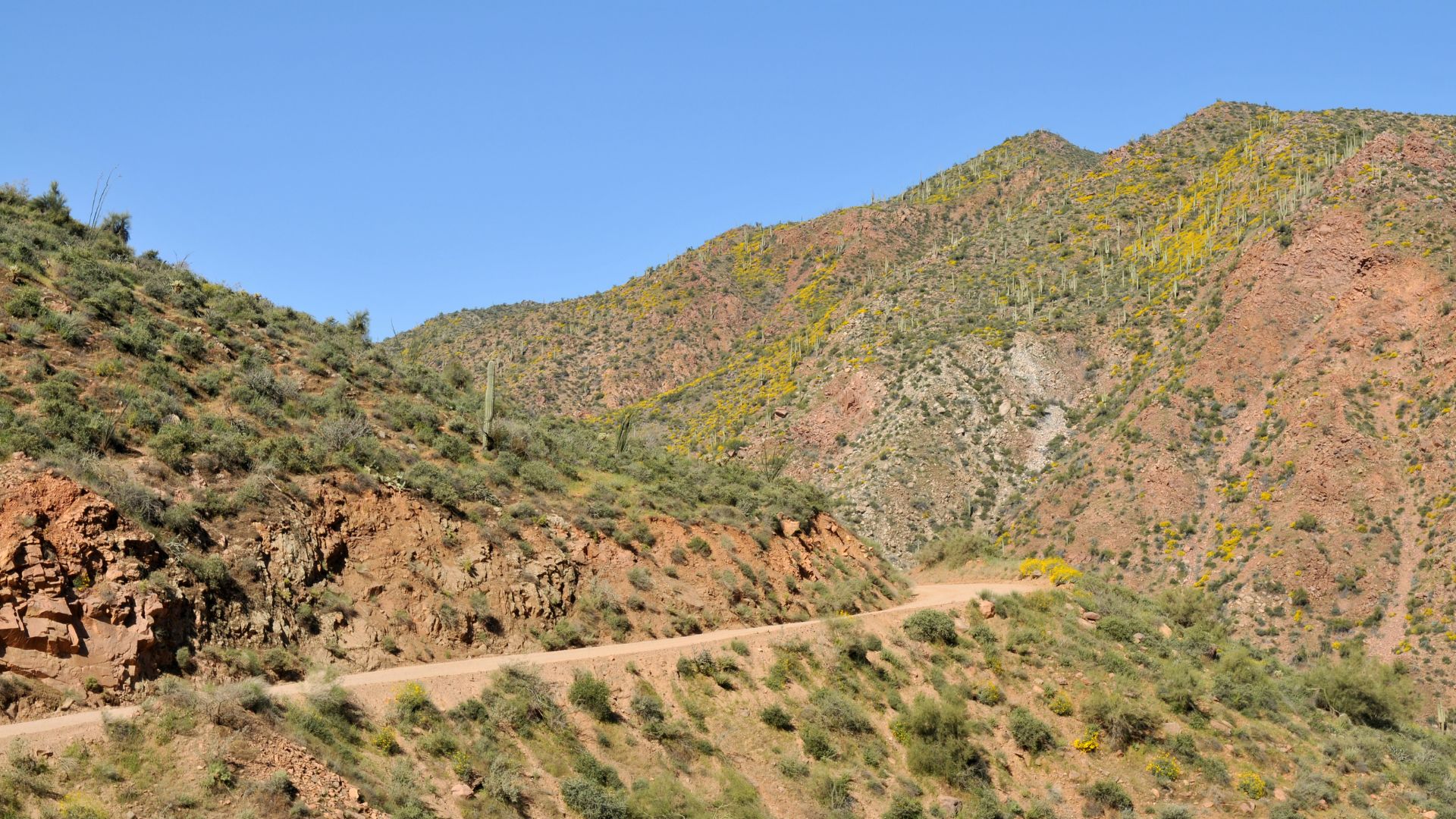 2. The Apache Trail and Canyon Lake