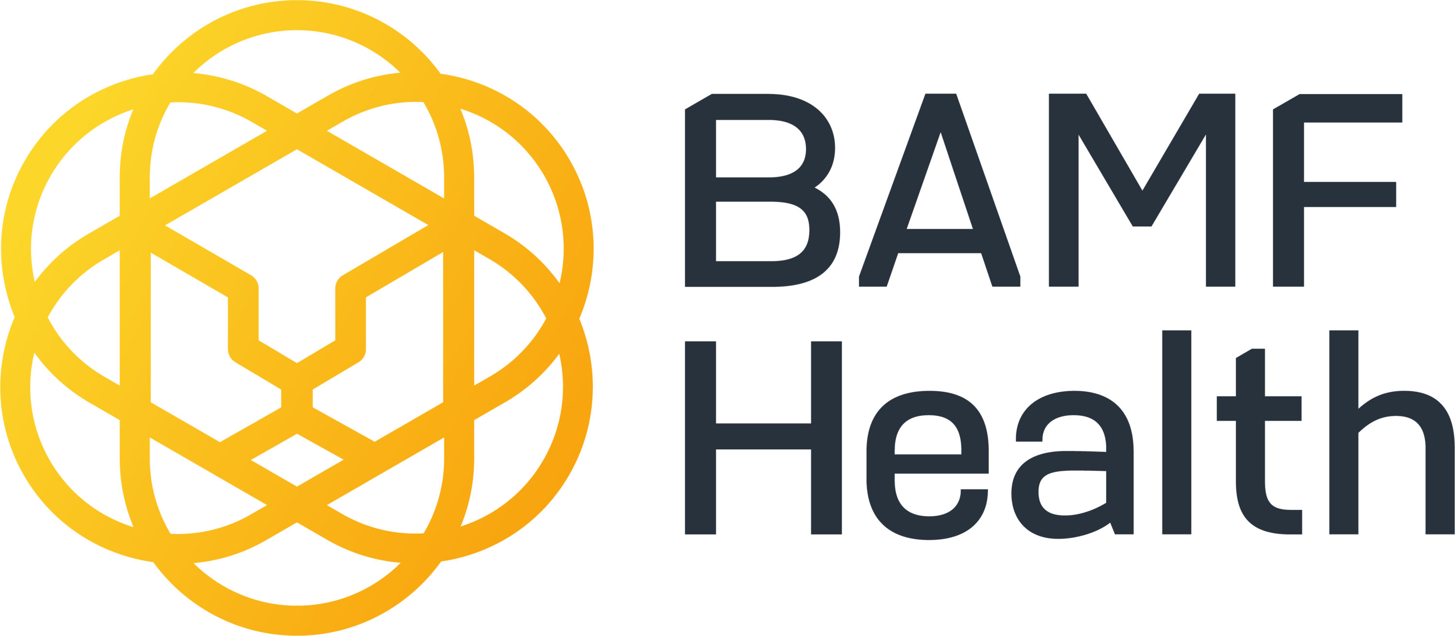 BAMF Health logo