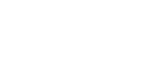 Logo de la Universidad Finis Terrae