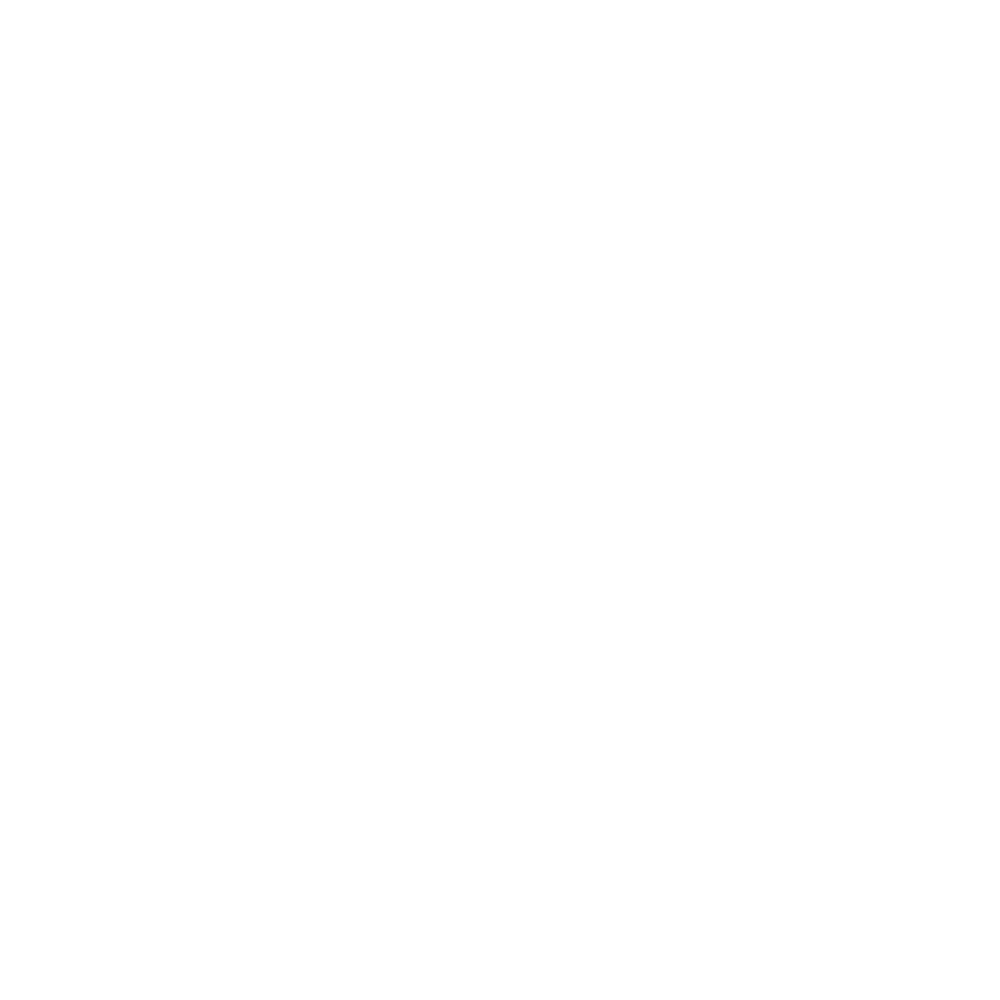 Booking Step Icon