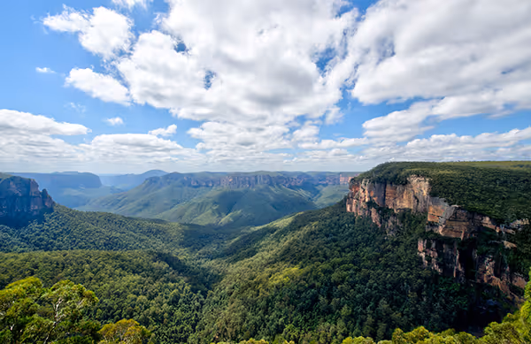 Vast green forest valley with distant cliffs and a partly cloudy blue sky above.