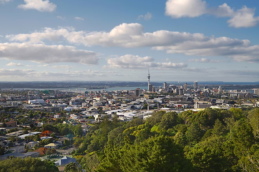 Mt Eden neighbourhood in Central Auckland — Rippey Construction service area