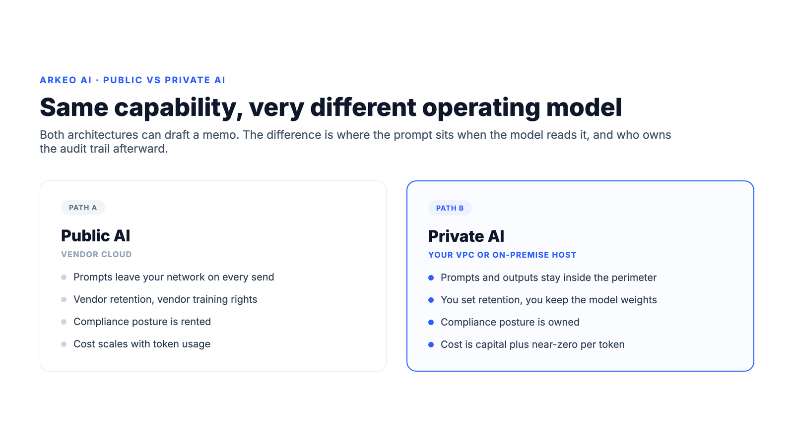 Public AI versus Private AI: vendor cloud versus your VPC or on-premise host