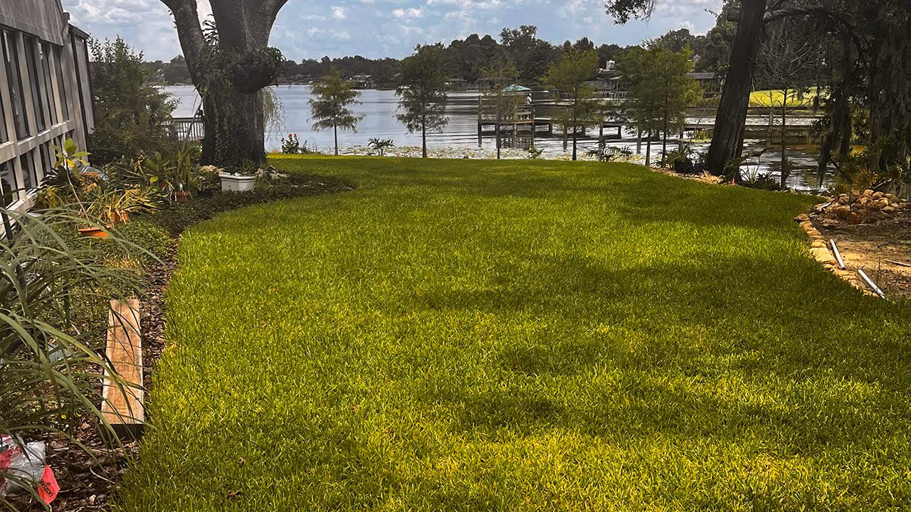 commercial lawn care service near me for small business property