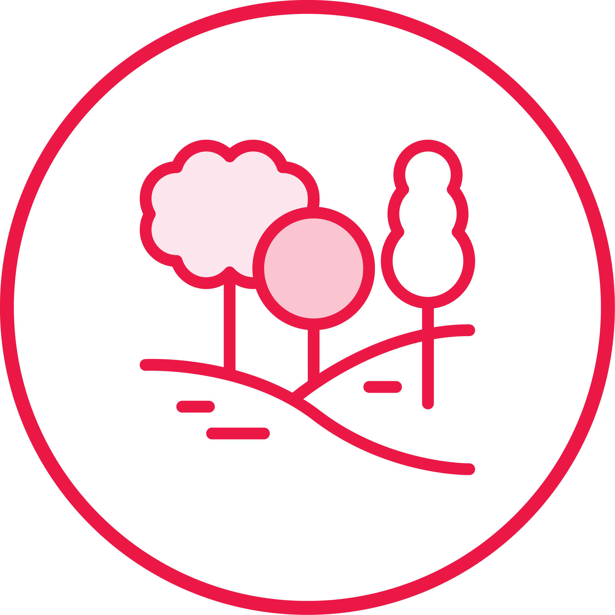 Landscape with trees representing land knowledge and site understanding
