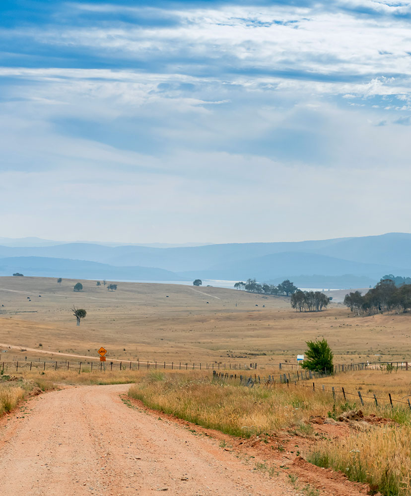 Curving dirt road through a dry open field with scattered trees and distant blue hills under a partly cloudy sky.