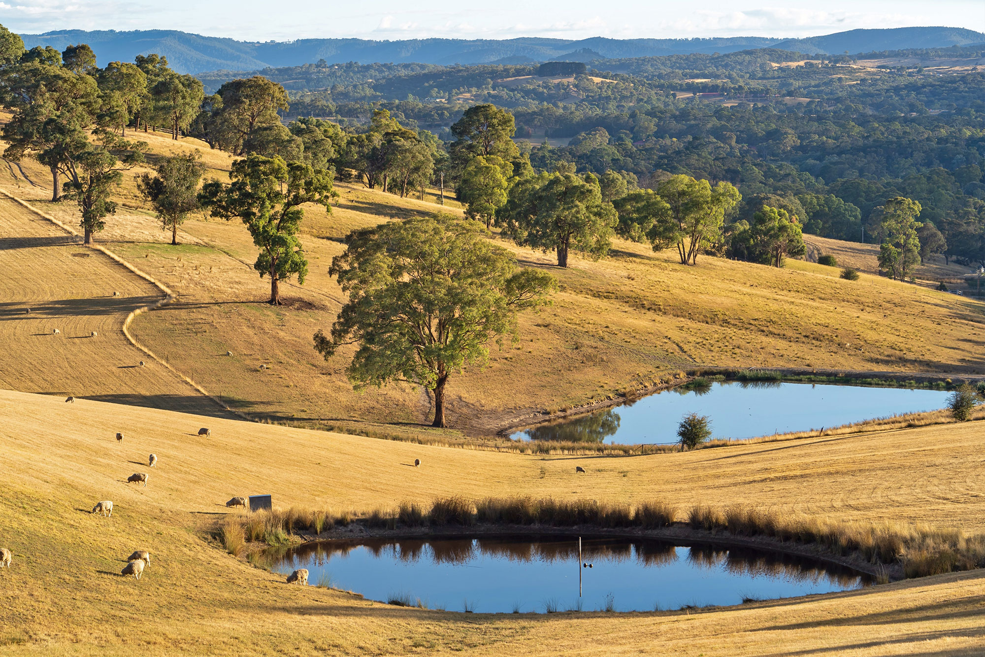 Managing Water Runoff and Drainage During Construction