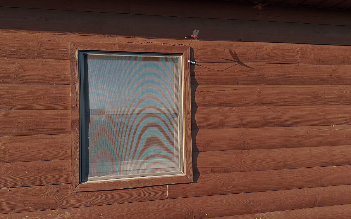 Double-hung windows before replacement