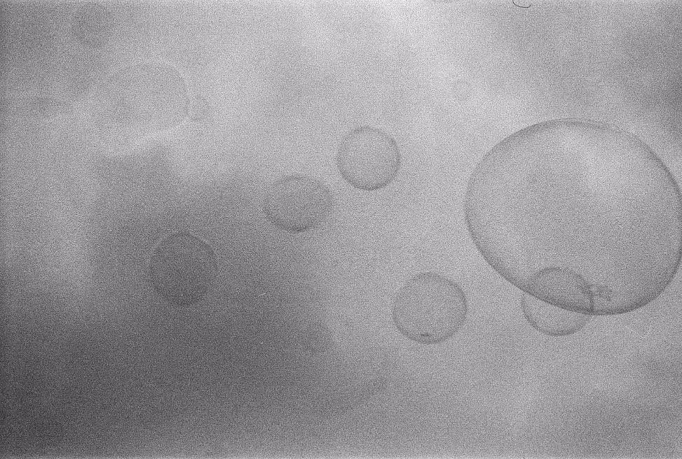 Low-contrast B&W film photo of bubble floating against an overcast sky.