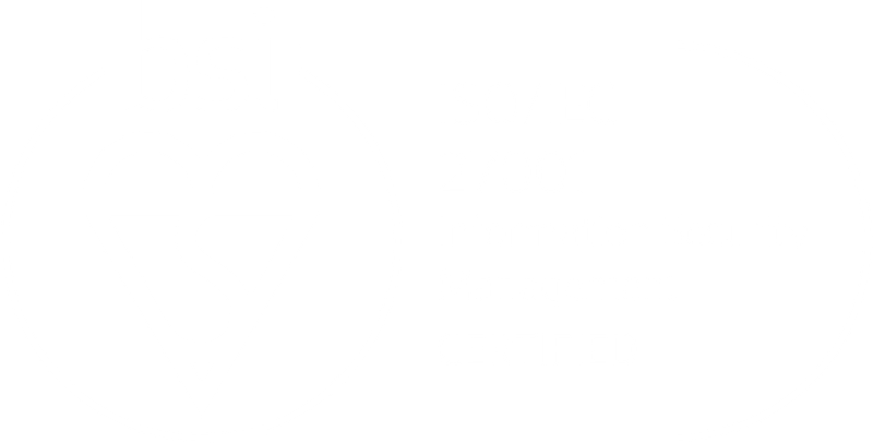 BSI Certification Logo