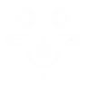 Decisive Partners values icon