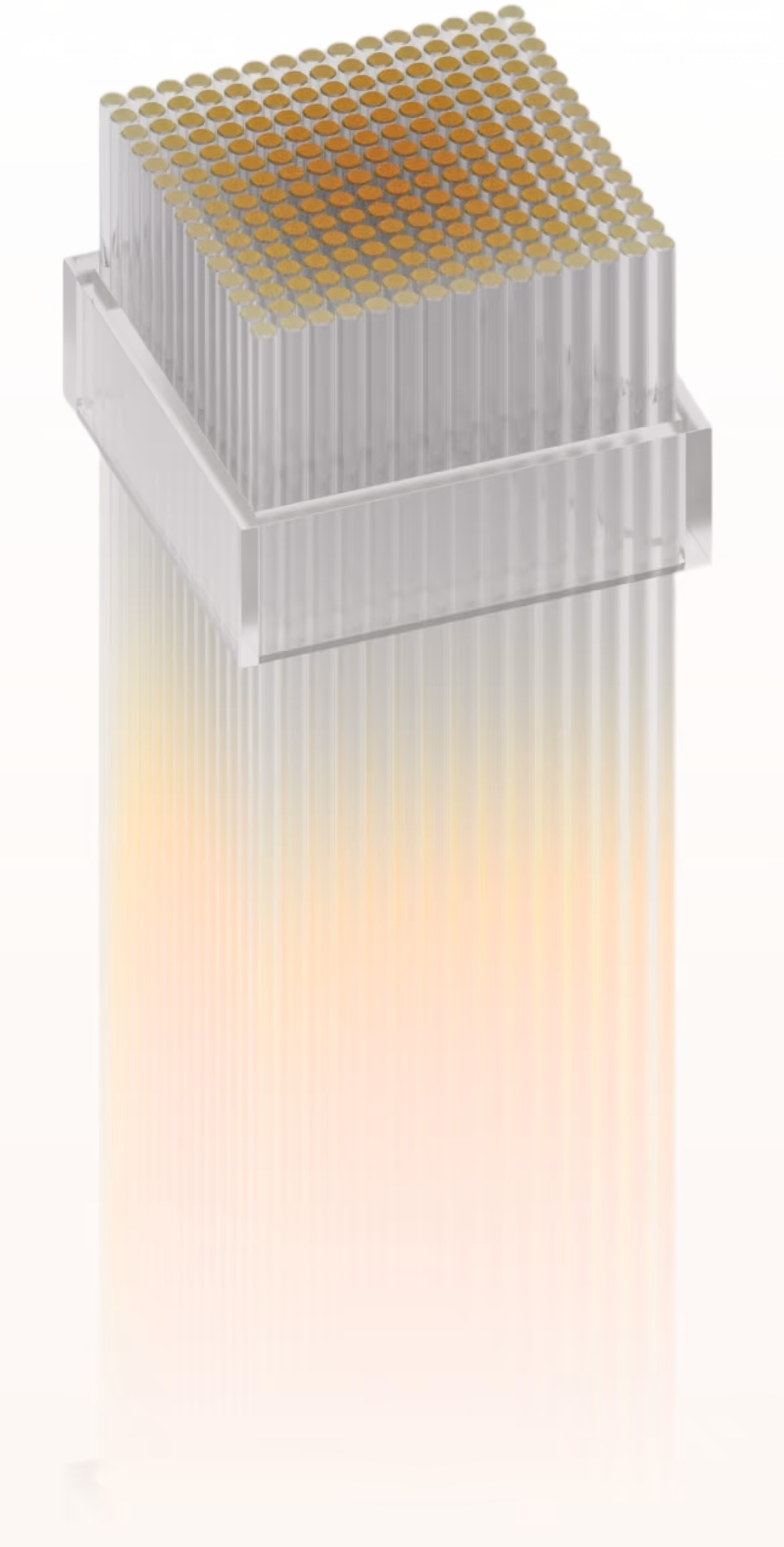 Transparent rectangular container holding multiple vertical cylindrical test tubes with orange and yellow liquid inside.
